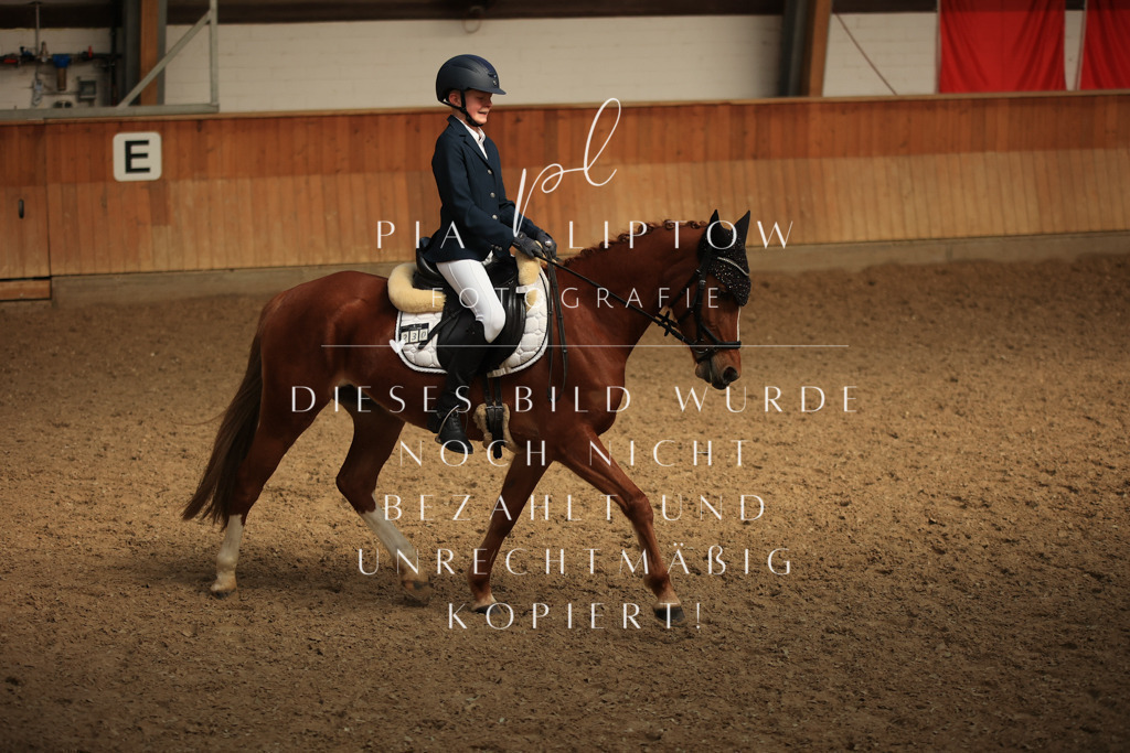 IMGT5168 | pl-fotografie