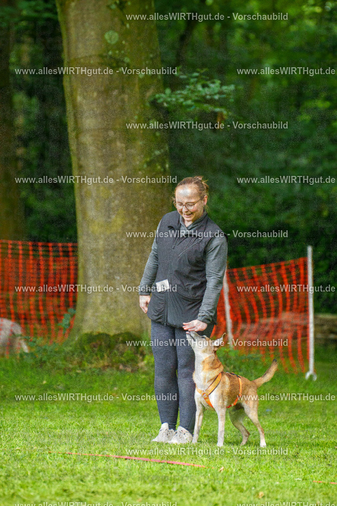 @allesWIRTHgut_Tierfotografie - www.allesWIRTHgut.de - 7R501999 | Professionelle Tierfotografie in Mönchengladbach von Daniel Wirth (allesWIRTHgut). Liebevolle & natürliche Bilder von Hunden & Katzen für unvergessliche Erinnerungen.