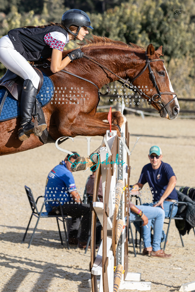 IMG_0150 | s-jay-photography - Realisiert mit Pictrs.com