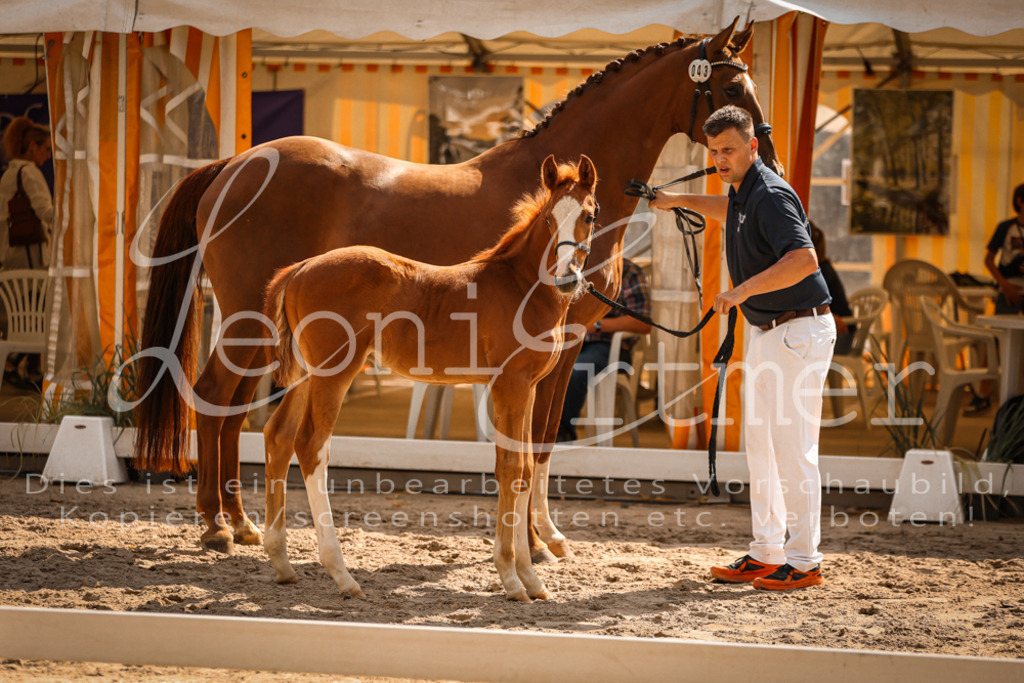 09.DoWBD00008 | Leoni Ertmer Photography - Realisiert mit Pictrs.com