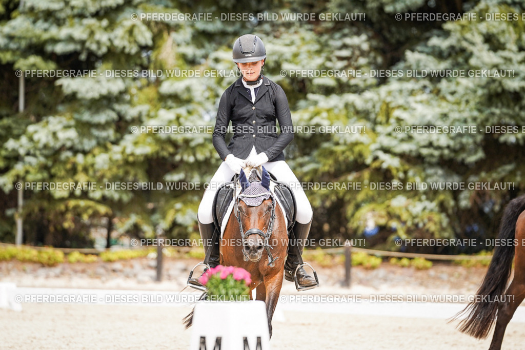 DSC04176 | Pferdegrafie