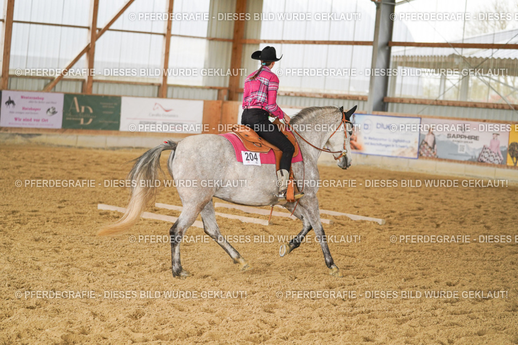 DSC04151 | Pferdegrafie