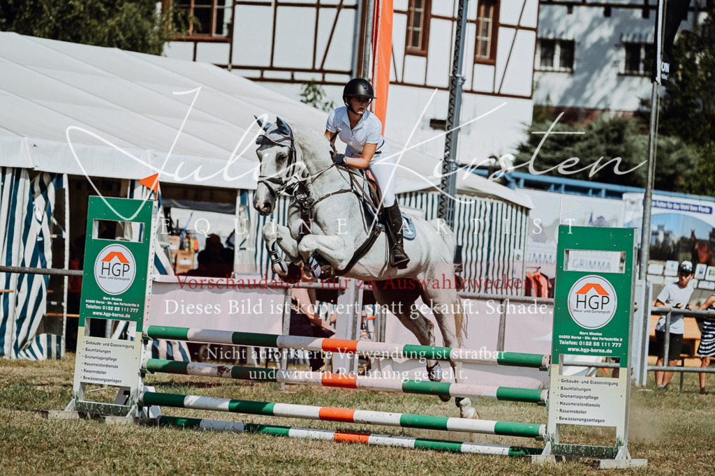 DSC_9580 | Pferde- und Turnierfotografie in Westsachsen. Pferdeportraits, Auftragszeichnungen und intuitive Kunst.