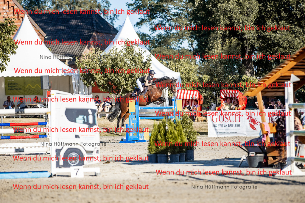 BK1A8330 | Turnierbilder Turnierfotos Nina Hüffmann Turnierfotografie Pferdefotografie Tierzeichnung Haustierzeichnung Pferdezeichnung Hundezeichnung Videograf  - Realisiert mit Pictrs.com