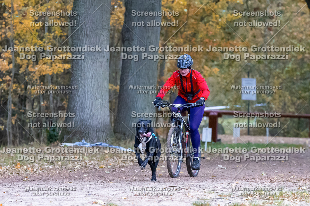 Dog Paparazzi - SD CaniX Championship 2025-230 | Dog Paparazzi Jeanette Grottendiek Fotografie & Videografie - Realisiert mit Pictrs.com