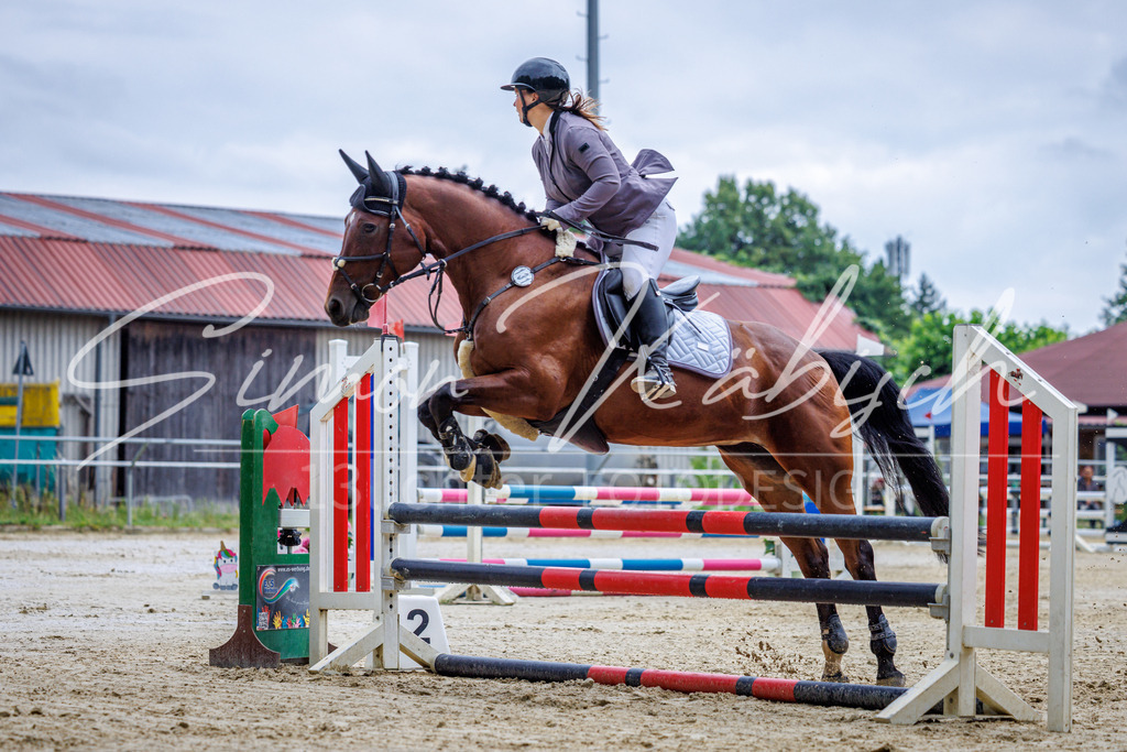 20260705-_3LI3530 | Tierfotografie Pferde, Hunde, Katzen, Haustiere.
Turnierfotografie Reitturniere, Reiten, Springreiten, Dressur in Hanau, dem Main-Kinzig-Kreis und dem Rhein-Main- Gebiet um Frankfurt