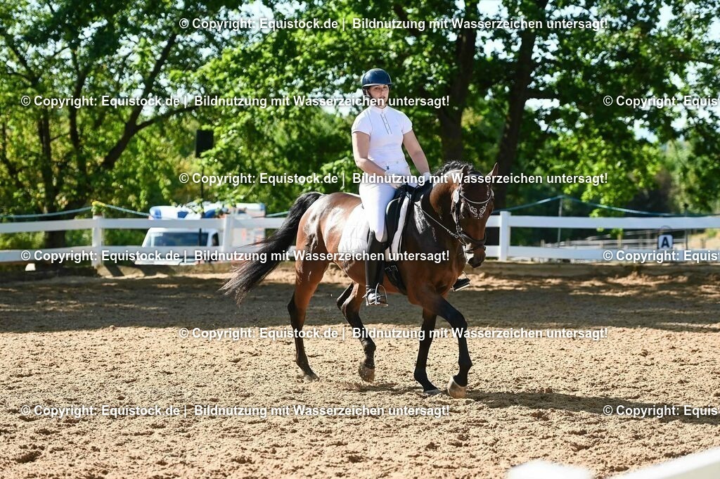 20230715_06_Dressurpferdeprfg. Kl.A_0273 | equistock