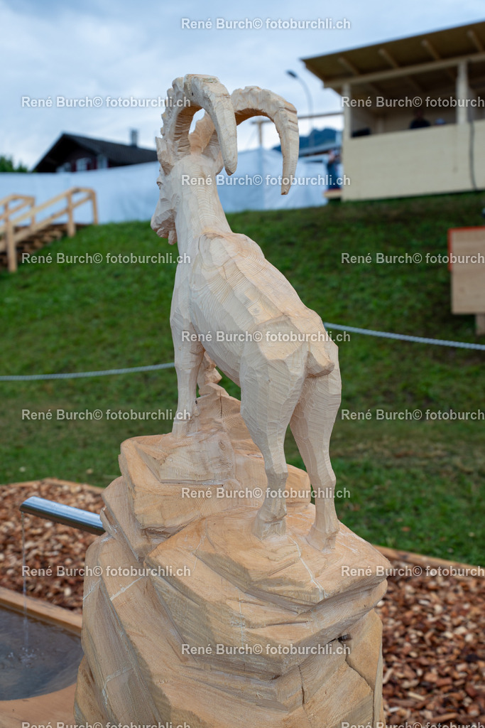 BR_07093 | René Burch leidenschaftlicher Fotograf aus Kerns in Obwalden.  Hier finden sie Sport, Landschaft und Natur Fotografie.
 - Realisiert mit Pictrs.com