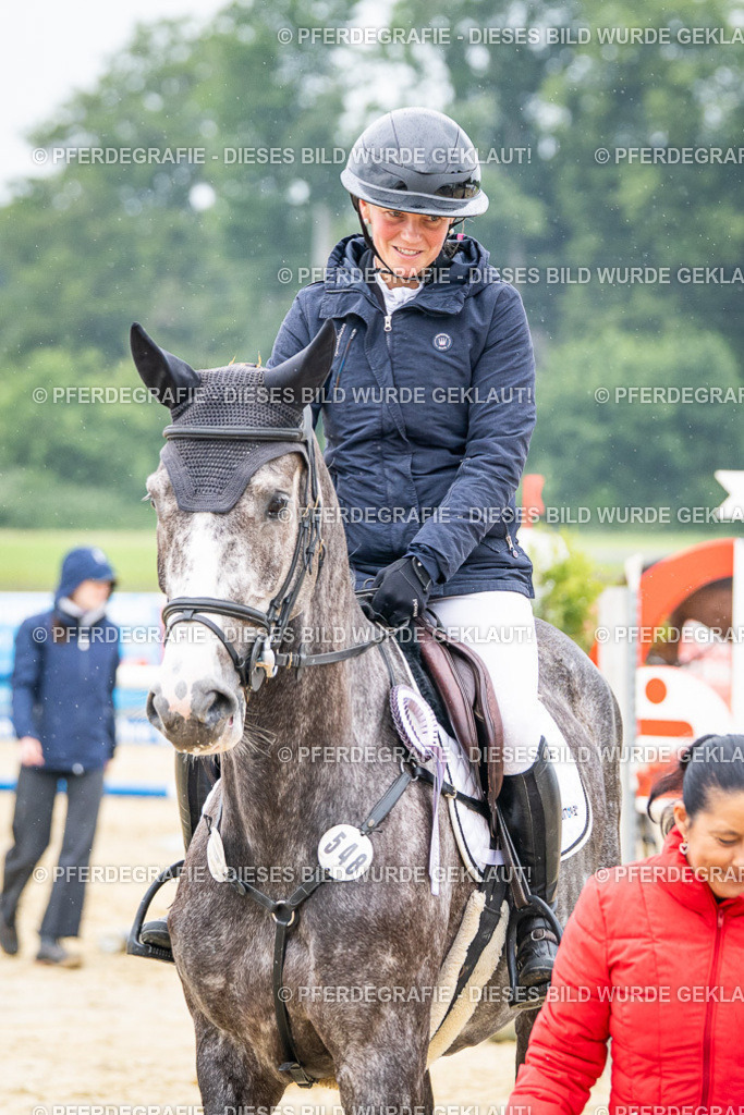 DSC00984 | Pferdegrafie