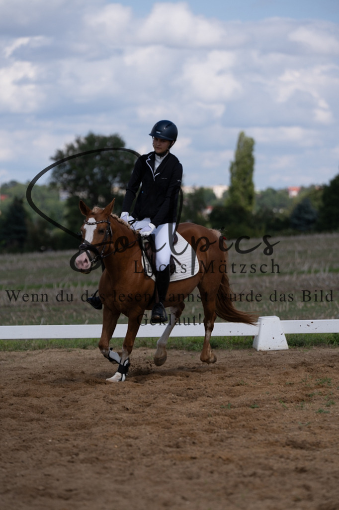 A7V03226 | Pferdefotograf