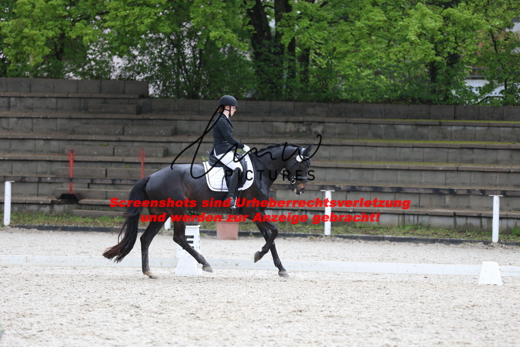 A40A9518 | lmwpictures - Realisiert mit Pictrs.com