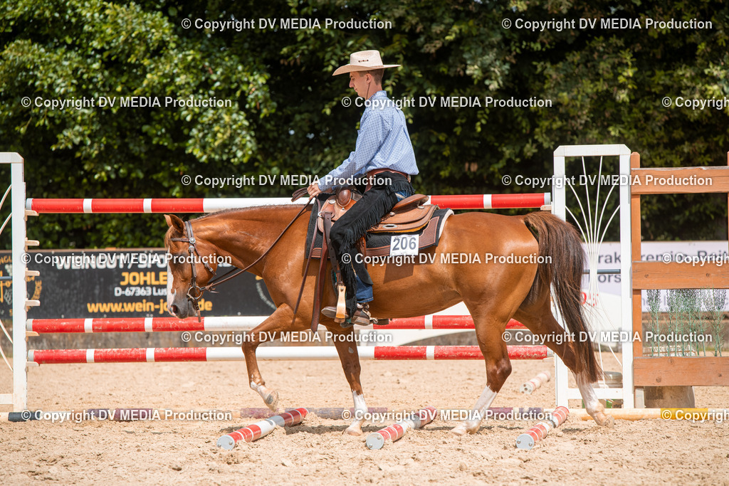 EWP_6150 | dv-media-shop - Realisiert mit Pictrs.com