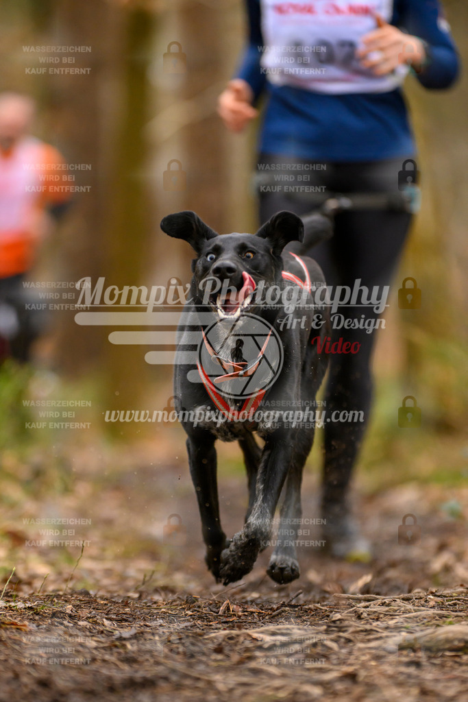 MompixPhotography_CDSM24_SA_Fun-12 | PayLife