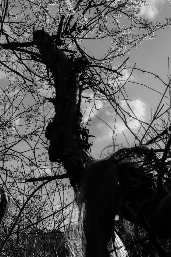 Photo-20230516-165745-S-1079x1619 | Frau-CB - Realisiert mit Pictrs.com