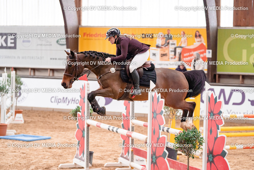 Kranichstein Tag 3-536 | dv-media-shop - Realisiert mit Pictrs.com