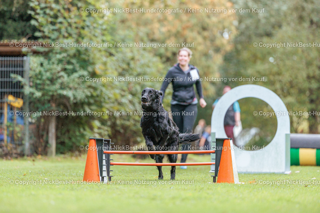 THS-HSV-Blumenthal-2026-Nickbest-Hundefotografie-1653 | Dein Hund! Dein Moment! Deine Erinnerungen! Hundefotografie in Bremen Blumenthal. Ich fange die besonderen Momente deines Vierbeiners ein – ob Indoor mit Blitzanlage oder in der freien Natur. Sicher dir dein Moment und dein Termin für eure Erinnerungen.