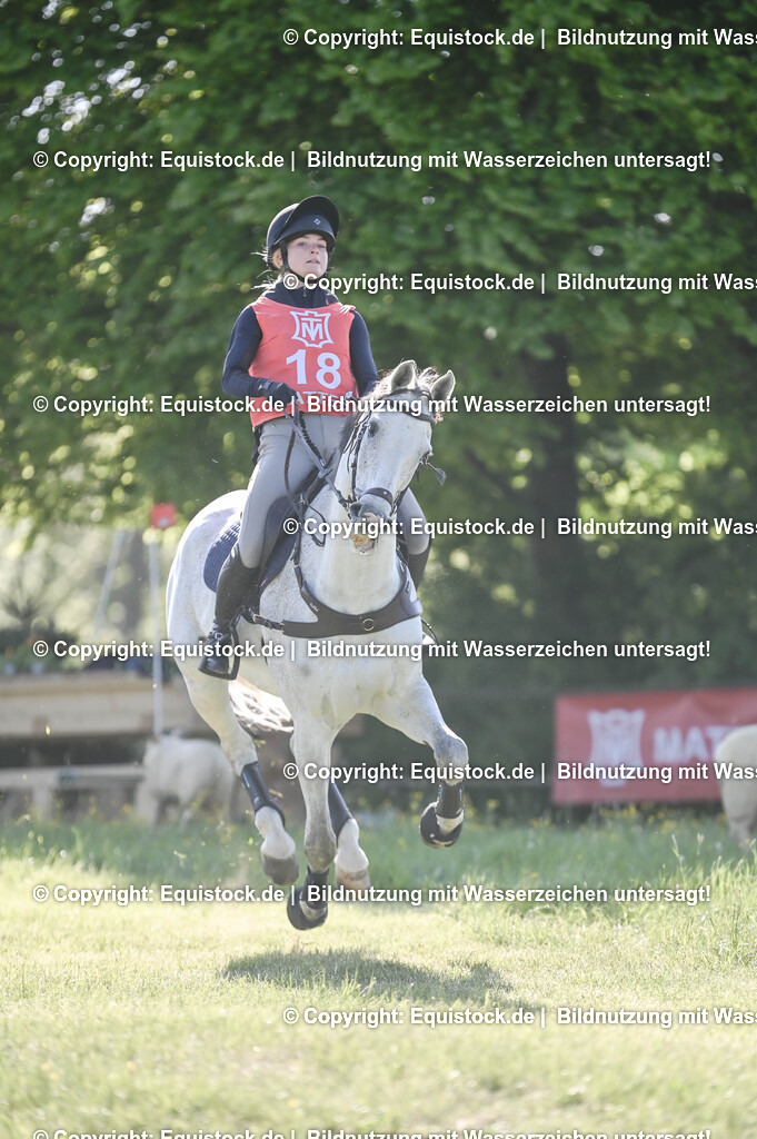 20250517_CCI2_Gelände_0470 | Foto: Thomas Hartig