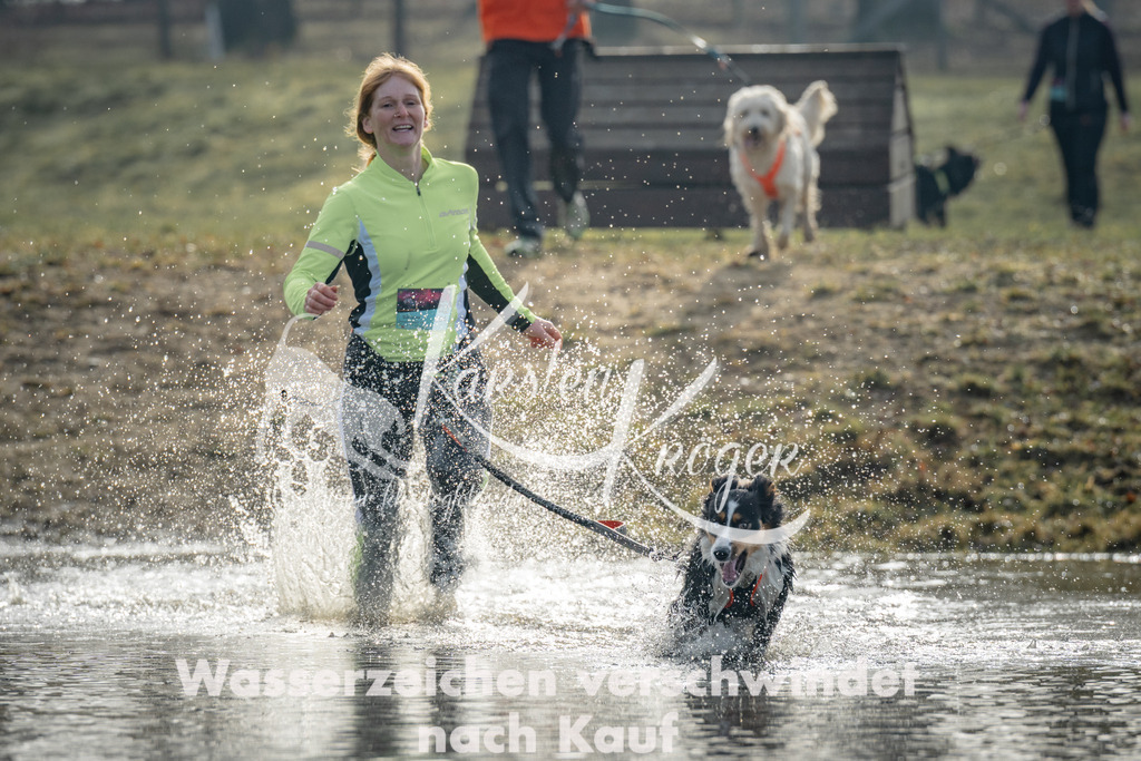 0950_ZZ94113 | kk-dogfotos