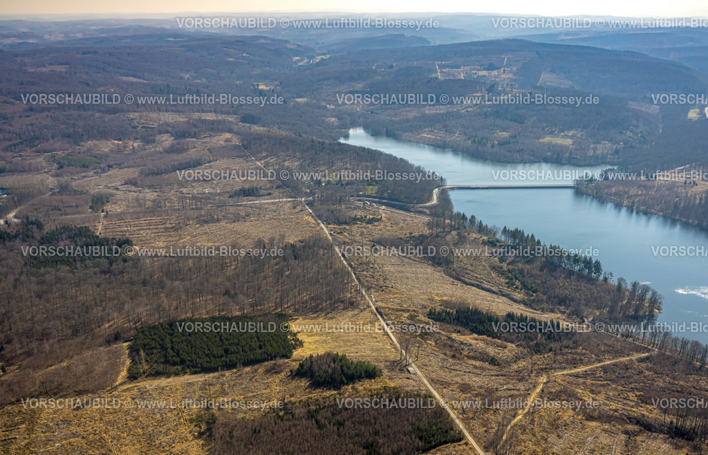 Moehnesee220301592 | Luftbild, Friedwald, Waldfriedhof, Halbinsel im Möhnesee, Waldsterben, Rodungen,   Delecke, Möhnesee, Sauerland, Nordrhein-Westfalen, Deutschland
