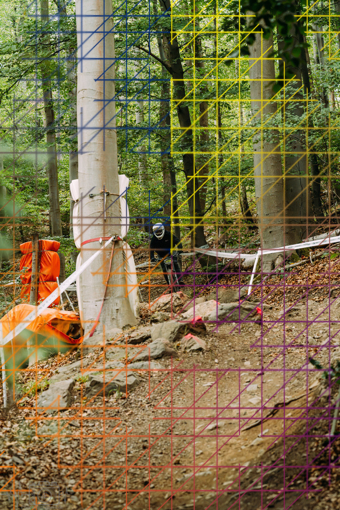 PAE-2199 | Einzigartige Fotokunst für dein Zuhause: Entdecke hochwertige Wandbilder, edle Prints und emotionale Motive von Wildlife, Natur und Landschaften - Realisiert mit Pictrs.com