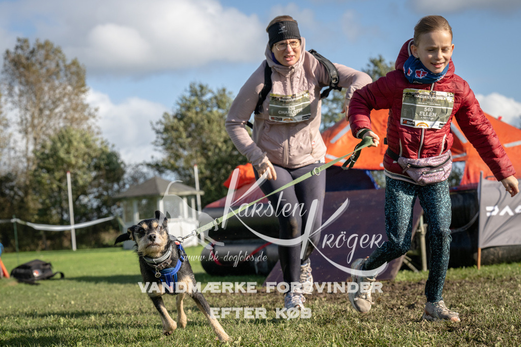 1438-94694 | kk-dogfotos