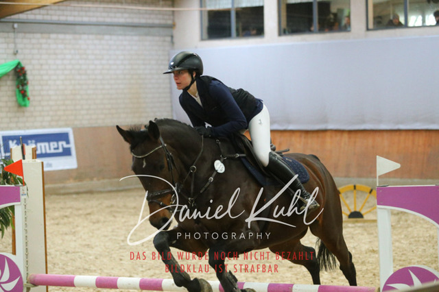 IMG_0588 | Turnierfotos kaufen im Webshop von Daniel Kuhl Photography – entdecke professionelle Reitsportfotos aus Turnieren & Events. Hochwertige Turnierbilder online bestellen & sichern. Jetzt Fotos von Reitsportturnieren kaufen!