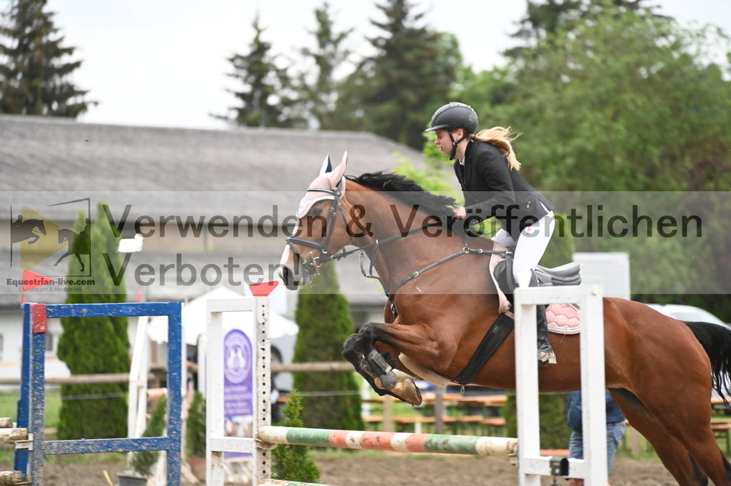 DSC_1731 | equestrian-live-com