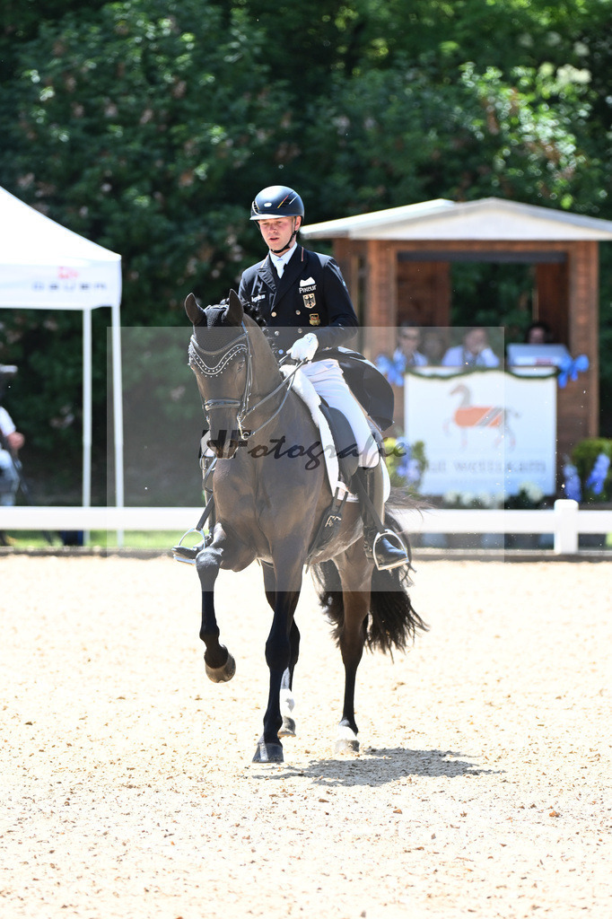 Netz_DSP Dieudonne_11254932 | hf-fotografie - Realisiert mit Pictrs.com