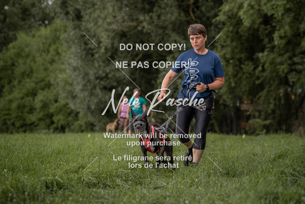 nelerasche_DoN_148 | nelerasche