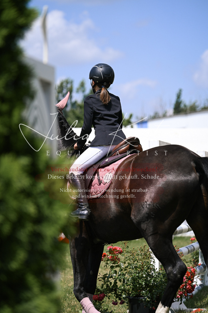 DSC_9355 | Pferde- und Turnierfotografie in Westsachsen. Pferdeportraits, Auftragszeichnungen und intuitive Kunst.