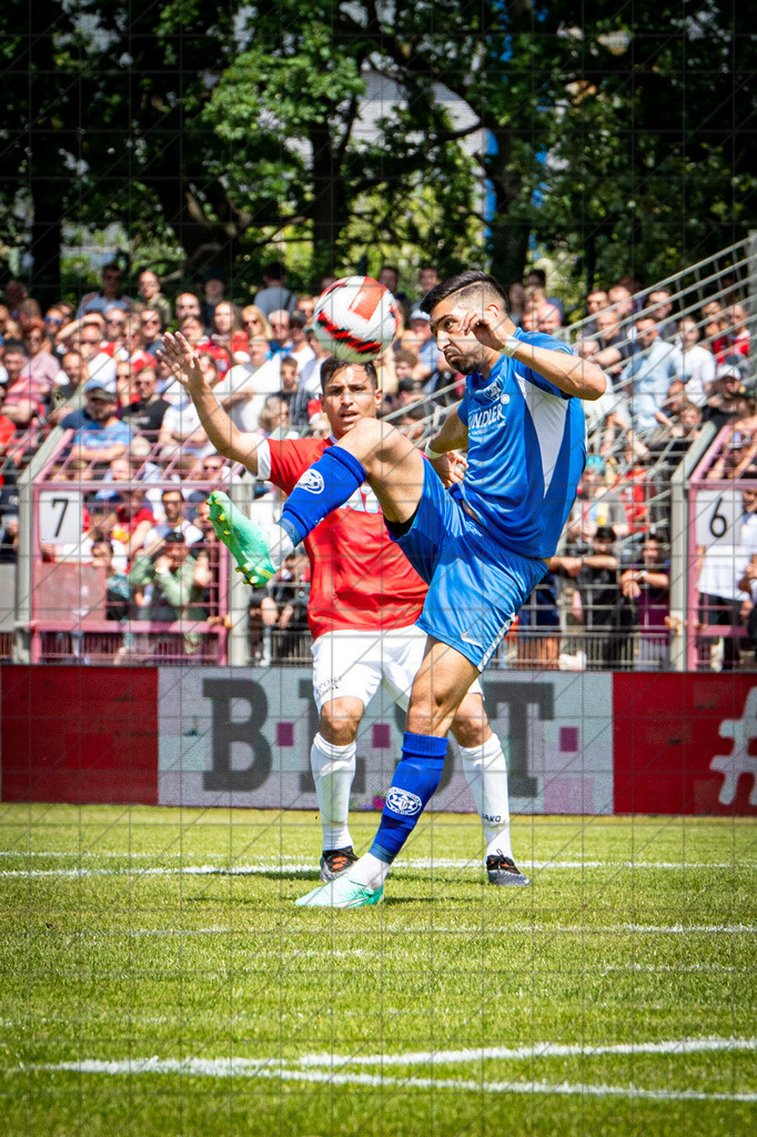 @Martin König_20230603__DSC2957 | bullenfotos|de - Realisiert mit Pictrs.com