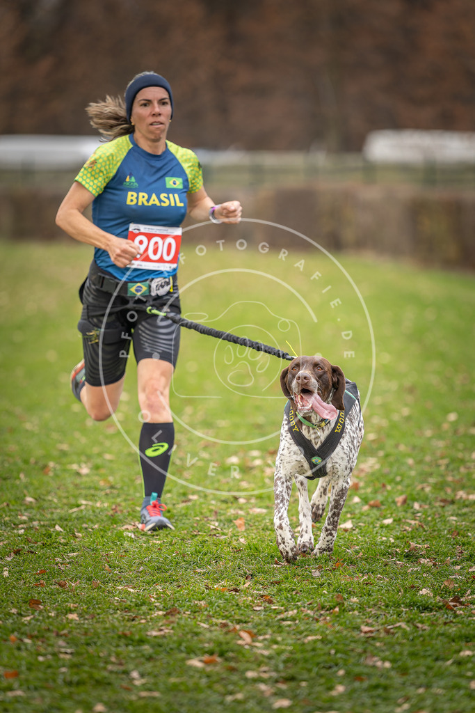 CaniXpix_DV3A6497 | Hundefotografie, Tierfotograf, Pfotenfotografie, Fotoshooting Hund, Hunde Portrait, Hundesport, Hundeportraits, Heideshooting, Hunde, Sportfotograf, Hundefotograf, Turnierhundsport, THS,  - Realisiert mit Pictrs.com