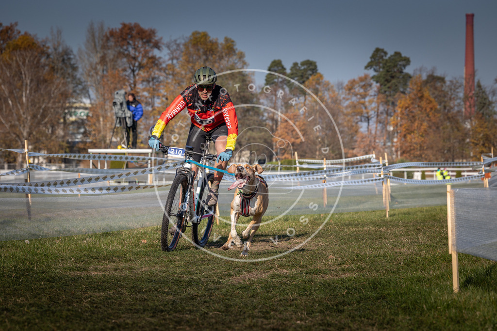 CaniXpix_0L8A6158 | Hundefotografie, Tierfotograf, Pfotenfotografie, Fotoshooting Hund, Hunde Portrait, Hundesport, Hundeportraits, Heideshooting, Hunde, Sportfotograf, Hundefotograf, Turnierhundsport, THS,  - Realisiert mit Pictrs.com