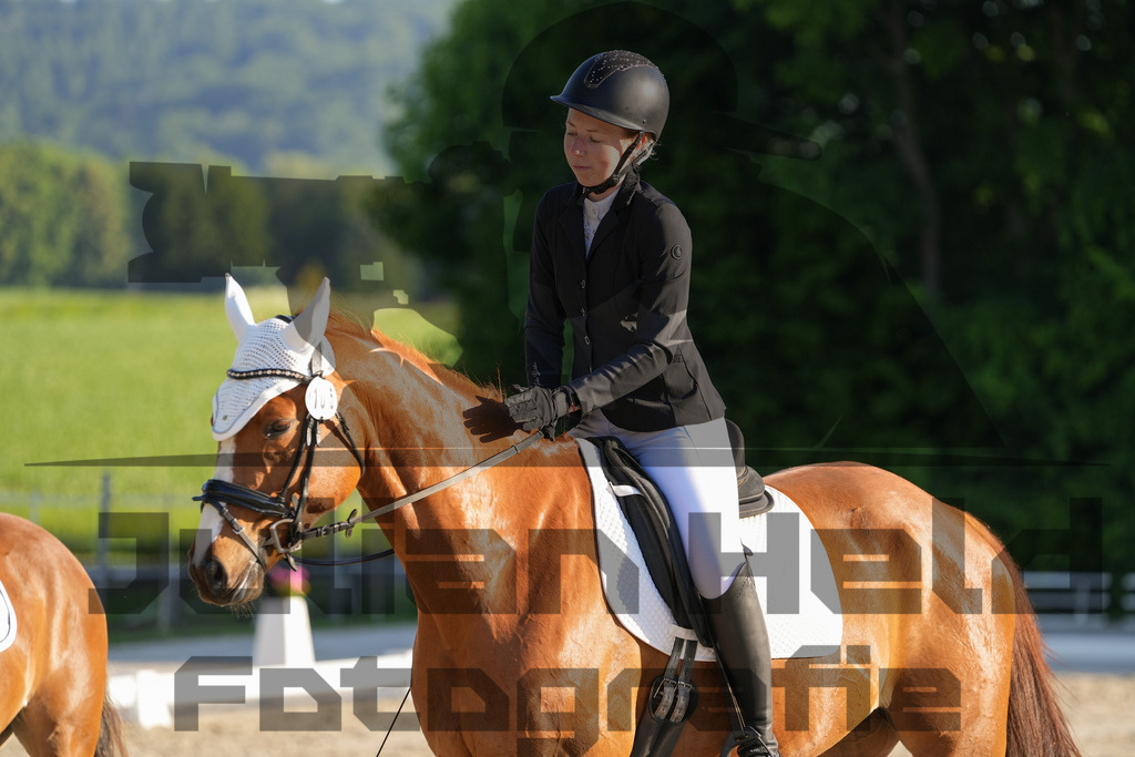 DSC02649 | Julian Held Fotografie - Realisiert mit Pictrs.com