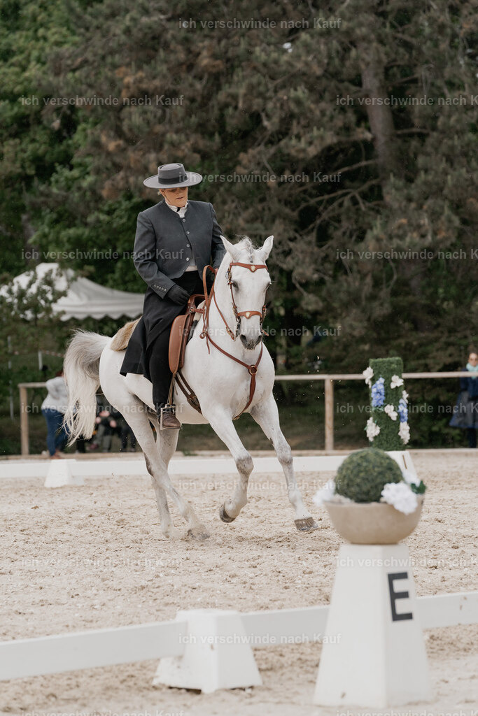 WE_DR_Stoib_321_PI2025_344 | Pferd International München 2025