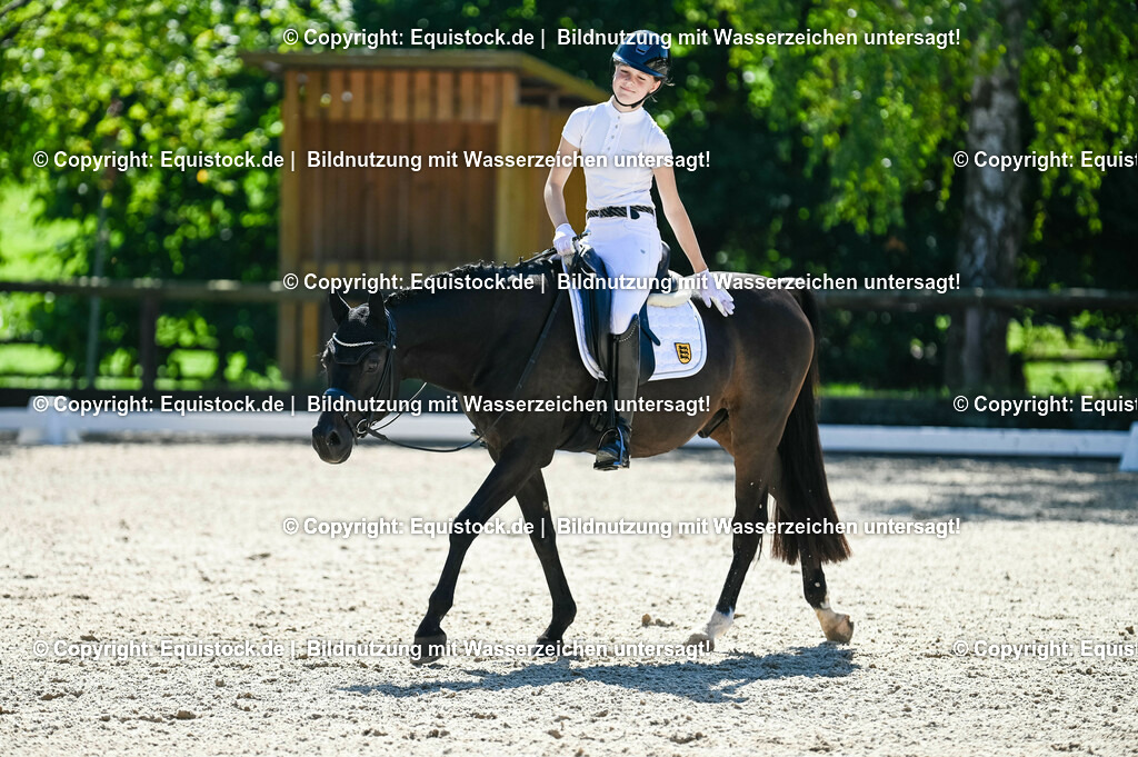 20230908_06_Dressur-L-Trense_0626 | equistock