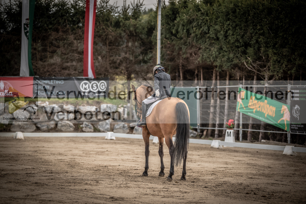 DSC_8402 | equestrian-live-com