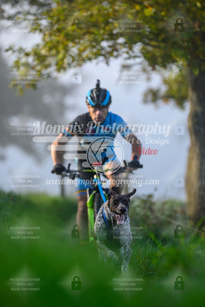 MompixPhotography_20TSB_E3_Bike-21 | PayLife