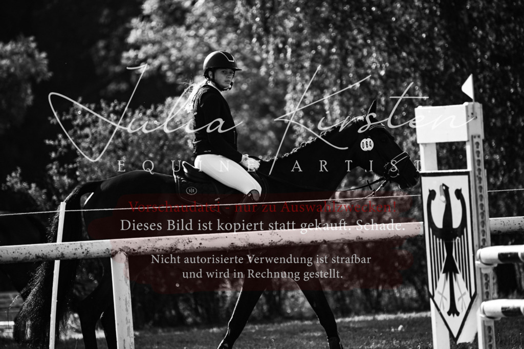 DSC_7405 | Pferde- und Turnierfotografie in Westsachsen. Pferdeportraits, Auftragszeichnungen und intuitive Kunst.
