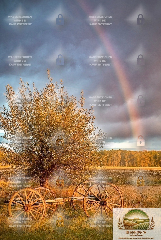 Wagenbruch | Professioneller Fotograf mit 10 Jahren Erfahrung. Landschafts- und Hochzeitsfotografie im Oderbruch. Workshops und beeindruckende Bilder für besondere Momente.