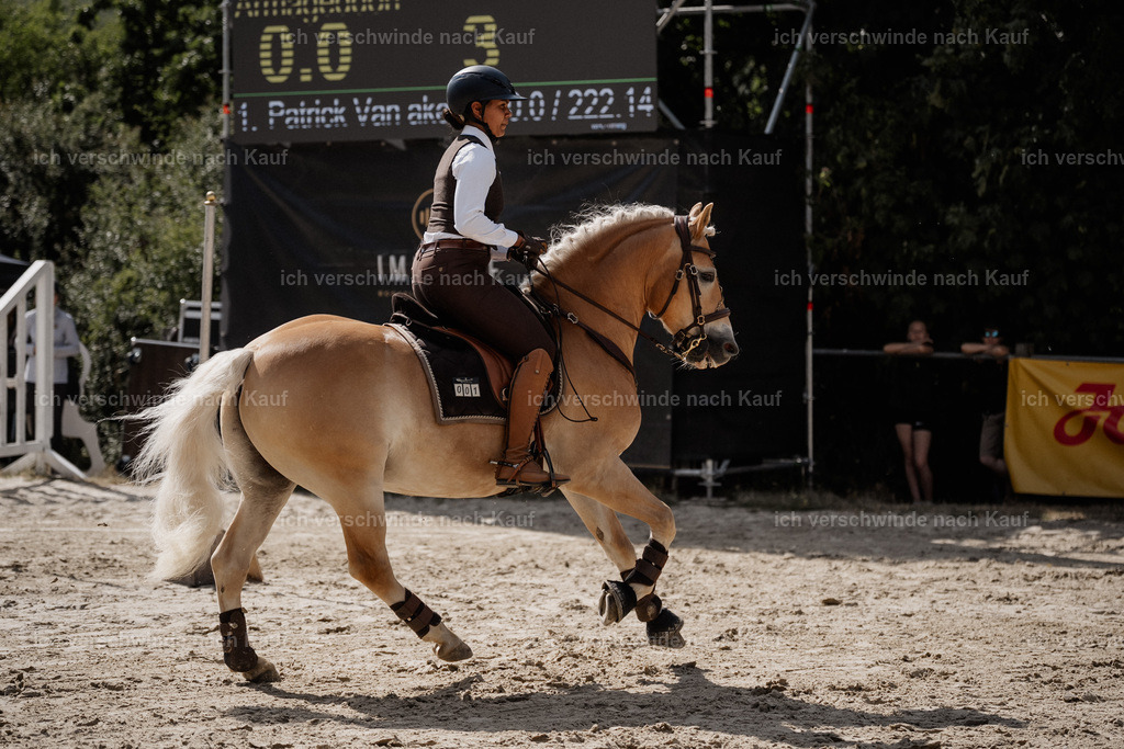 WS_SP_1_Stoibphotography_SO10728 | working equitationturnier fotograf videograf stoibphotography marixx film working equitation deutschland reitsport turnierfotografie eventfotografie equestrian events