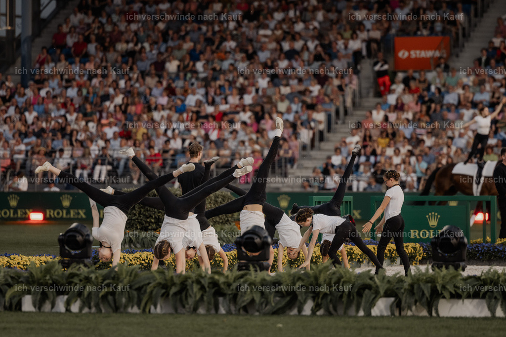 TSCHIO26_PferdundSinfonie_StoibphotographyTSCHIO26_Pferd-Sinfonie_Stoibphotography_AM10986.CR3.jpg | working equitationturnier fotograf videograf stoibphotography marixx film working equitation deutschland reitsport turnierfotografie eventfotografie equestrian events