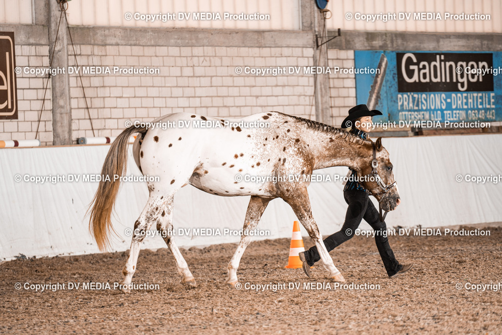 ZH200087 | dv-media-shop - Realisiert mit Pictrs.com