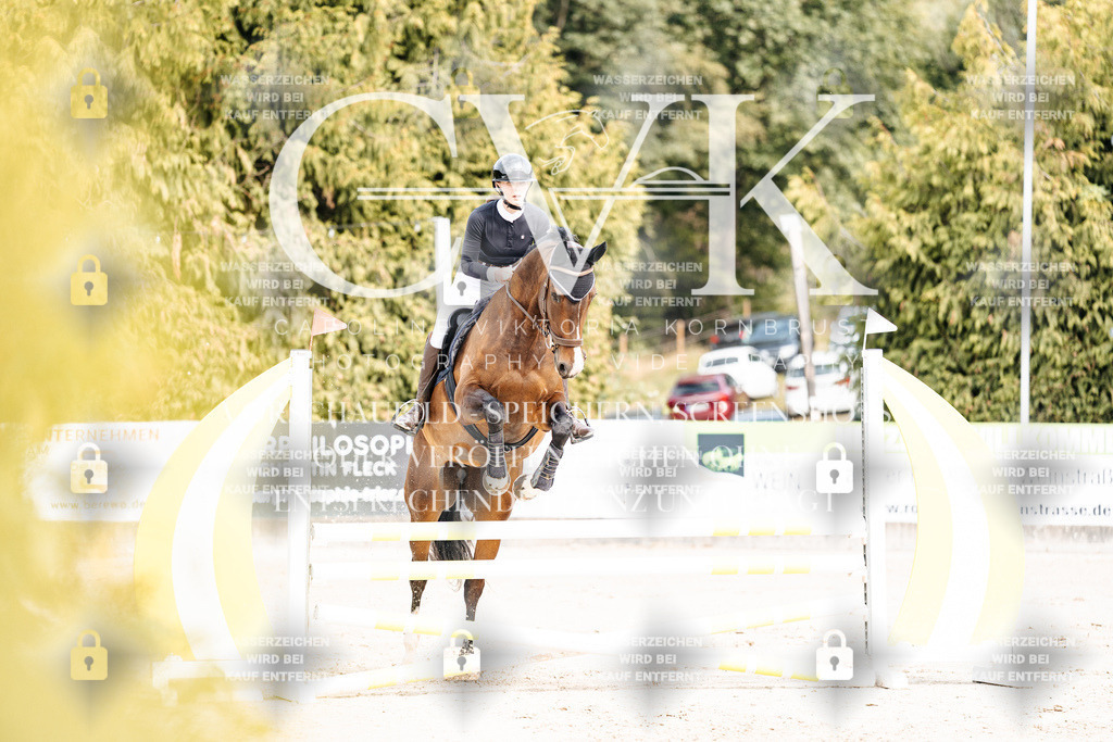 CK902174 | Turnierfotografie Pferdefotografie Trier Rheinland-Pfalz Pferdesport Reitsport Tierfotografie Sportfotografie Pferdevideo Pferdevideografie Equestrianvideography equestrianphotography  - Realisiert mit Pictrs.com