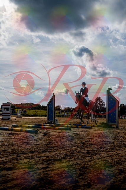 2026_10_03_Siefer-Hof_145548_Z63_05791945 | Professionelle Reitsport-, Turnier- und Eventfotografie von Robert Broda. Galerien mit ausgewählten und bearbeiteten Bildern direkt online ansehen und bestellen.