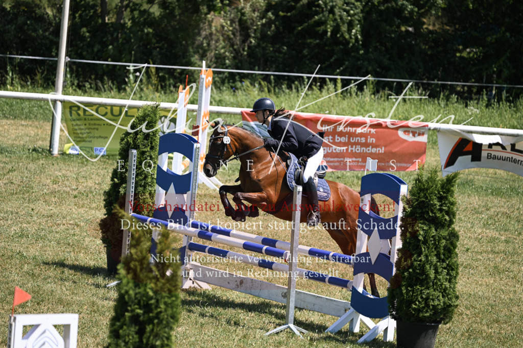 DSC_0032 | Pferde- und Turnierfotografie in Westsachsen. Pferdeportraits, Auftragszeichnungen und intuitive Kunst.