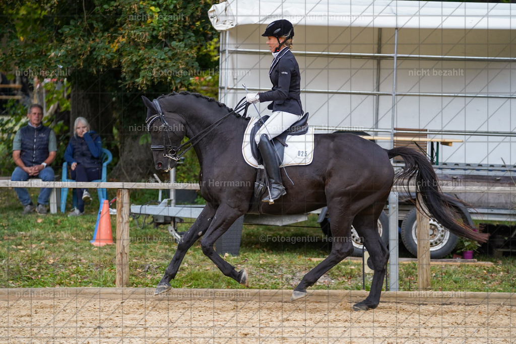 20231007-SN_00899 | Professionelle Turnier- und Reitsportfotografie - mit dem Finger am Auslöser. Pferdebilder aus dem Reitsport von den Turnierfotografen  Bayern , Pferdefotograf Bayern, Pferdeshooting Turnierbilder, Hochzeitsfotograf, Eventfotograf, Hochzeitsbilder