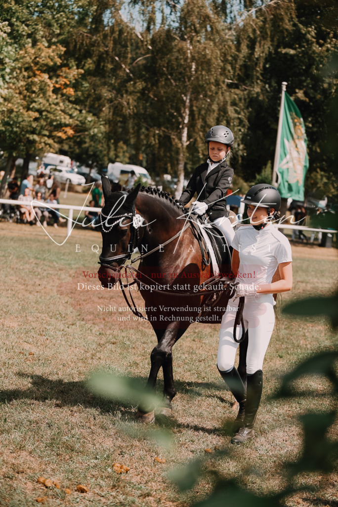 DSC_6145 | Pferde- und Turnierfotografie in Westsachsen. Pferdeportraits, Auftragszeichnungen und intuitive Kunst.