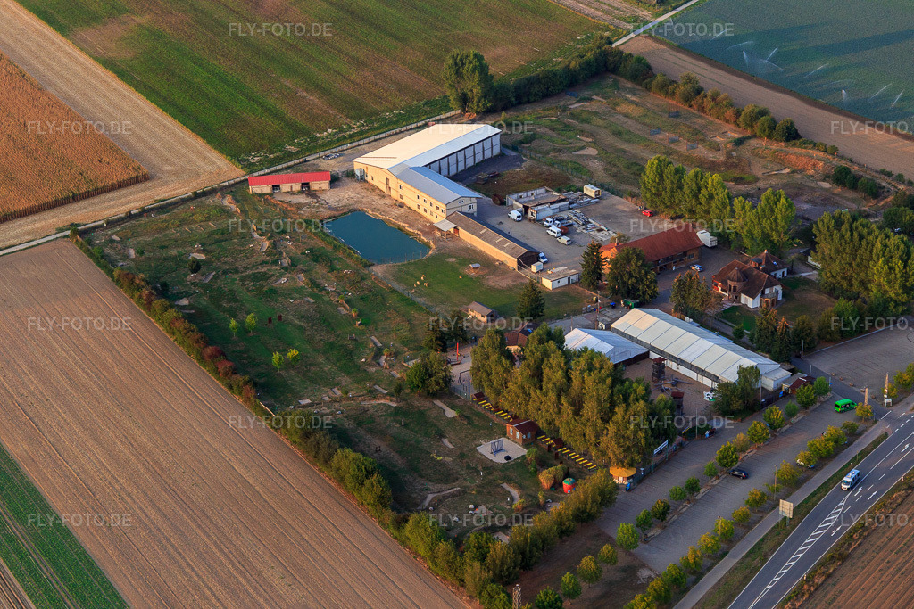 Luftbild: Fussballgolfpark Südpfalz am Adamshof in Kandel im Bundesland Rheinland-Pfalz in Deutschland. Foto: IMG_110736.jpg vom 05.09.2018 durch Werner Riehm/FLY-FOTO.deWWW.FUSSBALLGOLFPARK-SUEDPFALZ.DE