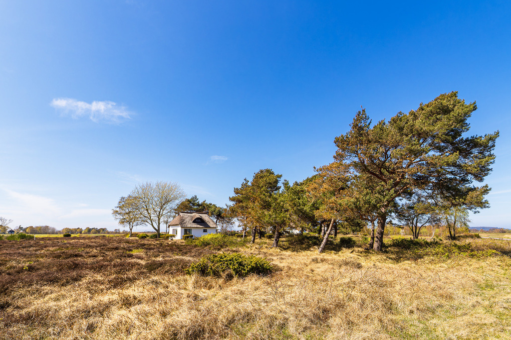 Ferienhaus zwischen Vitte und Neuendorf auf der Insel Hiddensee | Ferienhaus zwischen Vitte und Neuendorf auf der Insel Hiddensee.